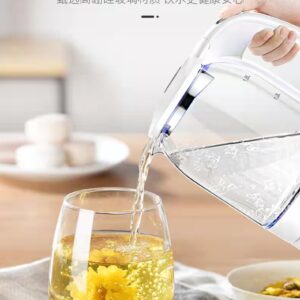 Electric Kettle
