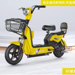 Electric bicycle