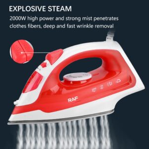 Steam Iron