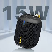 W-KING D120